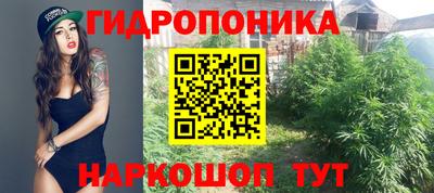 ГАЛЛЮЦИНОГЕННЫЕ ГРИБЫ Рязань
