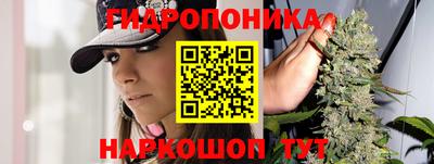 ГАЛЛЮЦИНОГЕННЫЕ ГРИБЫ Рязань