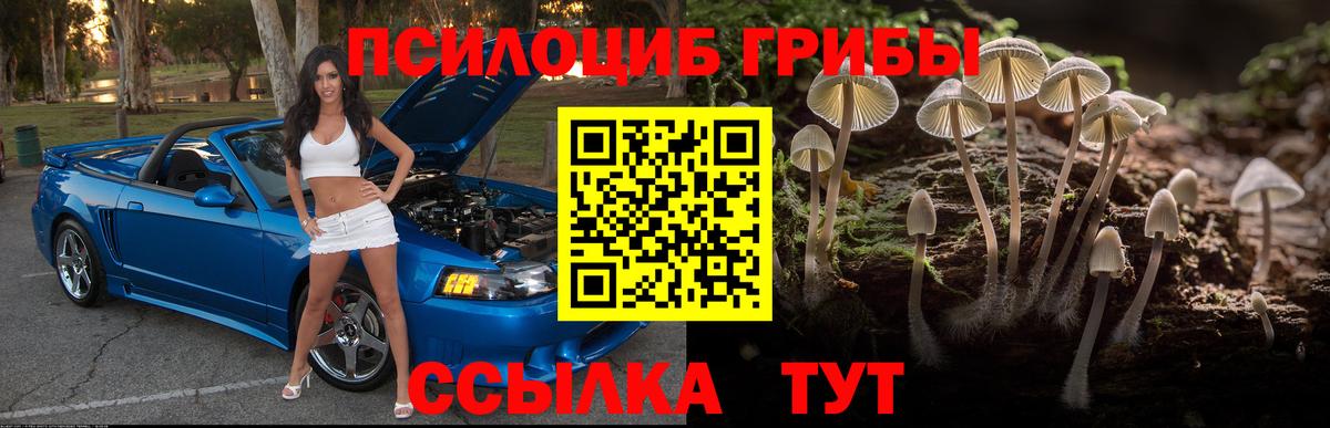 даркнет сайт  Псилоцибиновые грибы Cubensis  Вход с VPN  Оренбург  Галлюциногенные грибы MAGIC MUSHROOMS 